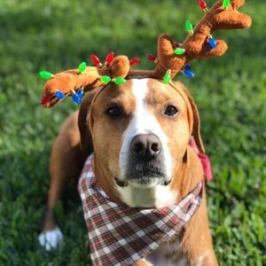 Meet your Posher, Cathy